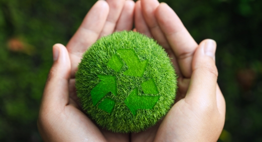 Sustainability