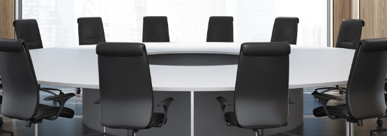 Directors, Auditors and Executive Officers