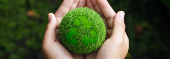 Sustainability