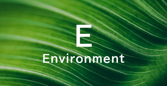 Environment