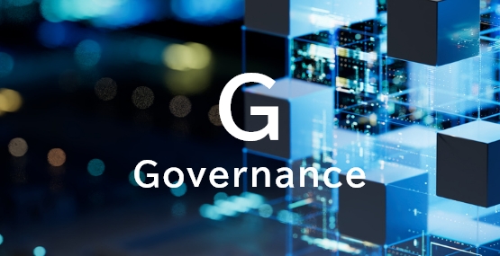 Corporate Governance