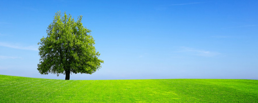 Environmental Initiatives