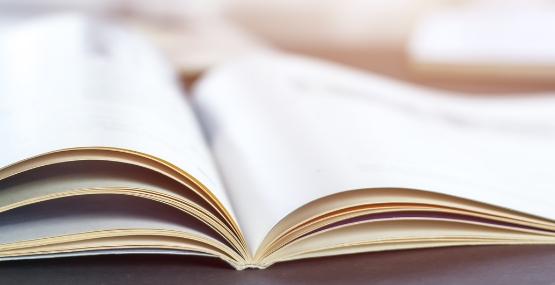 統合報告書